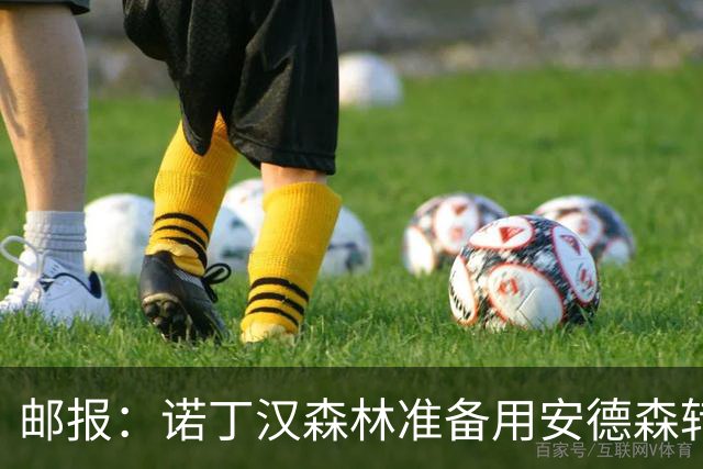 邮报：诺丁汉森林准备用安德森转会费引援，补强锋线和中场